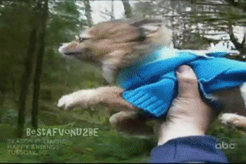 tumblr_mli5lhdOXd1socxyao1_400.gif