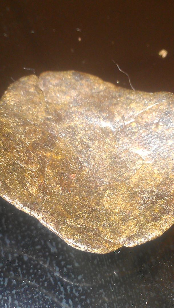 IMAG0936_zpsc0932831.jpg