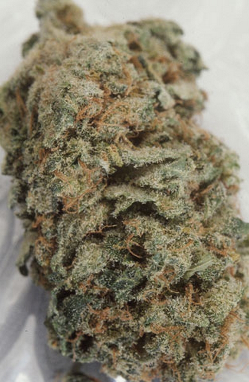 AK-47-marijuana-260917_500_766.jpg