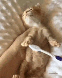 1667319246_11.gif