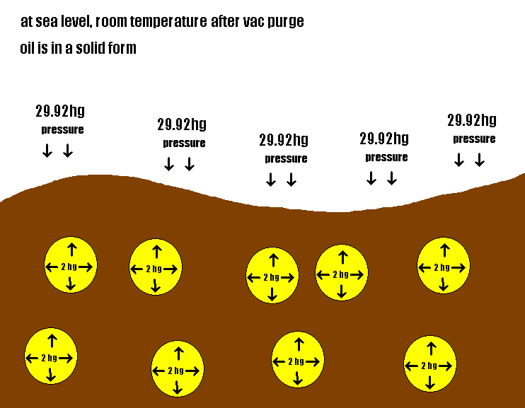 vacpurge4_zpsc1bedb0d.png
