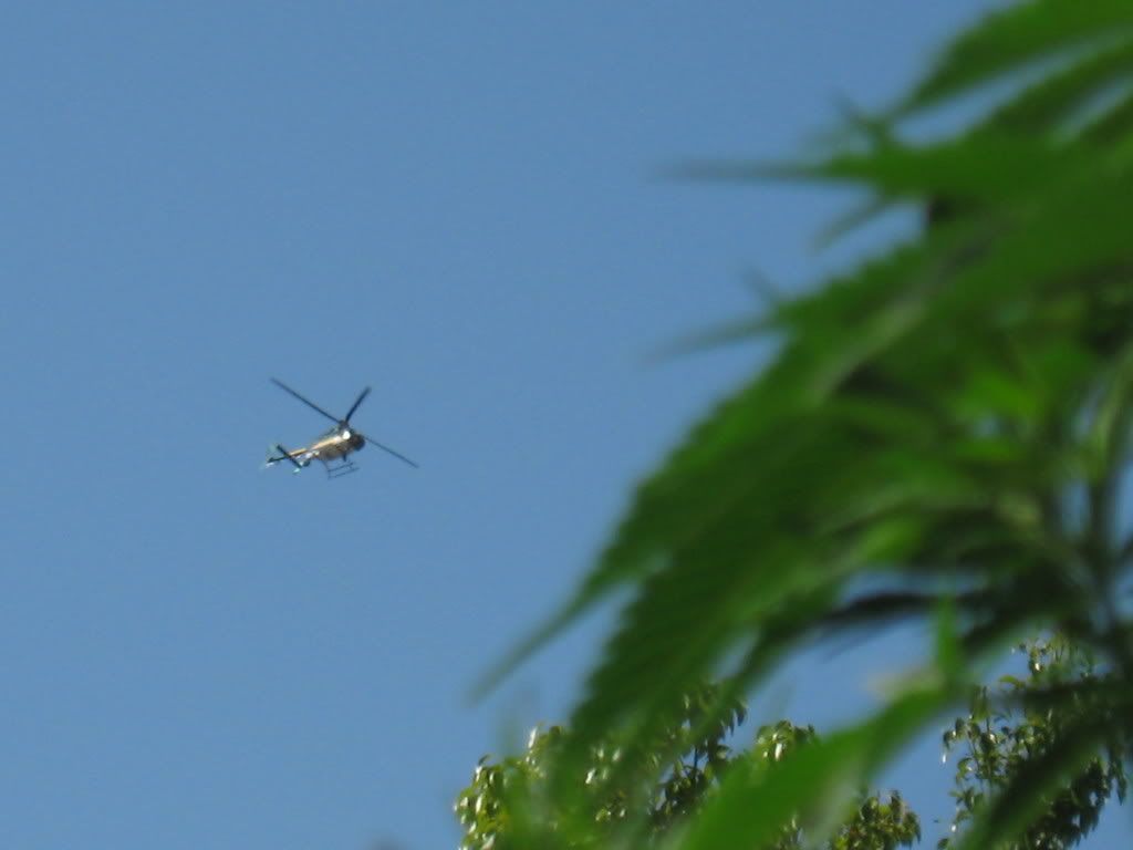 IMG_1232.jpg