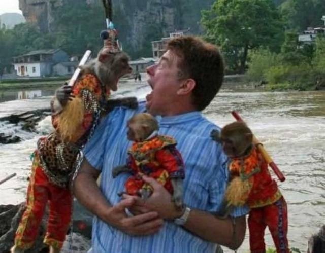 acid_picdump_17.jpg