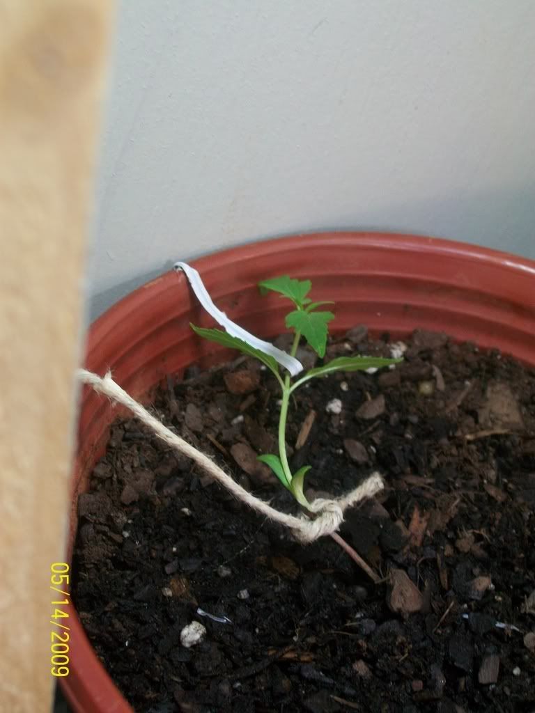 100_0655.jpg