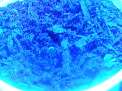 DSCN2021.jpg