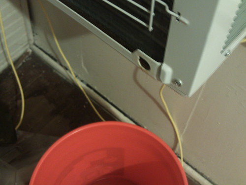2729794467_9398e73efa.jpg