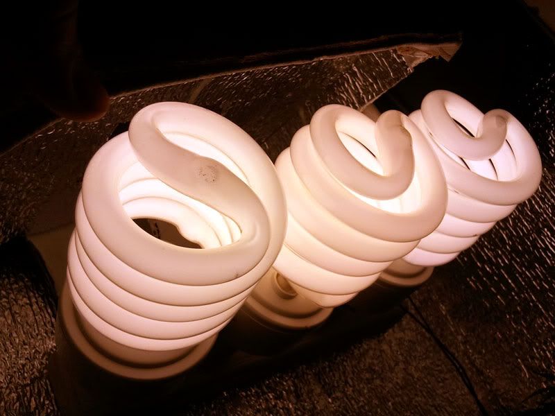 reflector.jpg