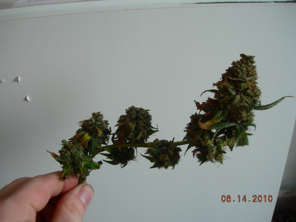 DSCN6639.jpg