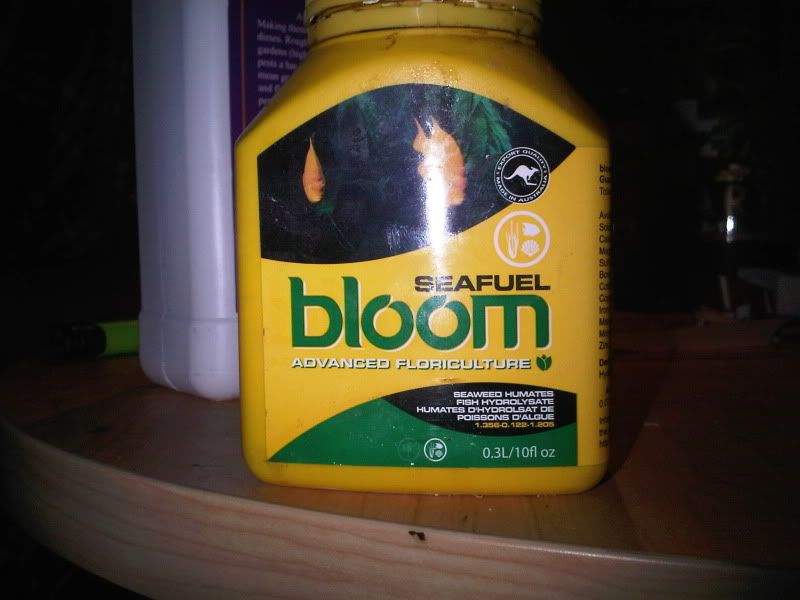 IMG00097-20110118-0002-1.jpg