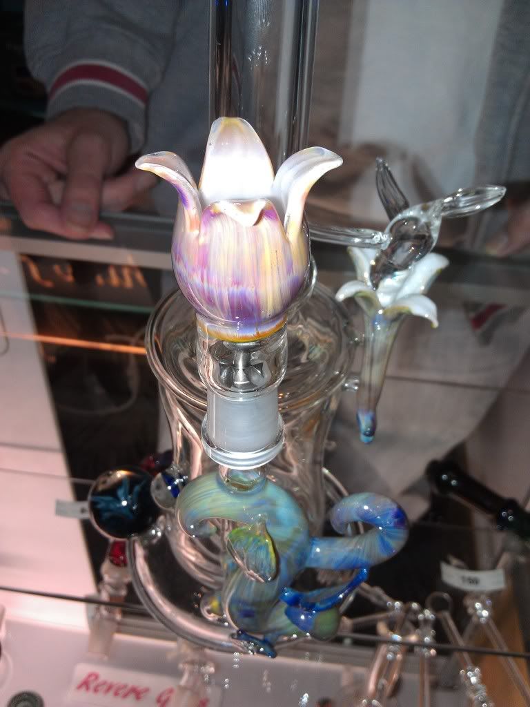 IMAG0313.jpg