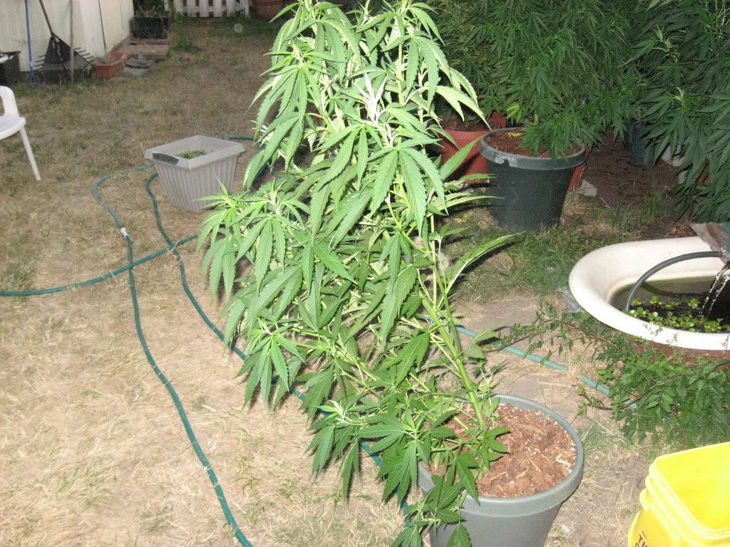 IMG_1500.jpg