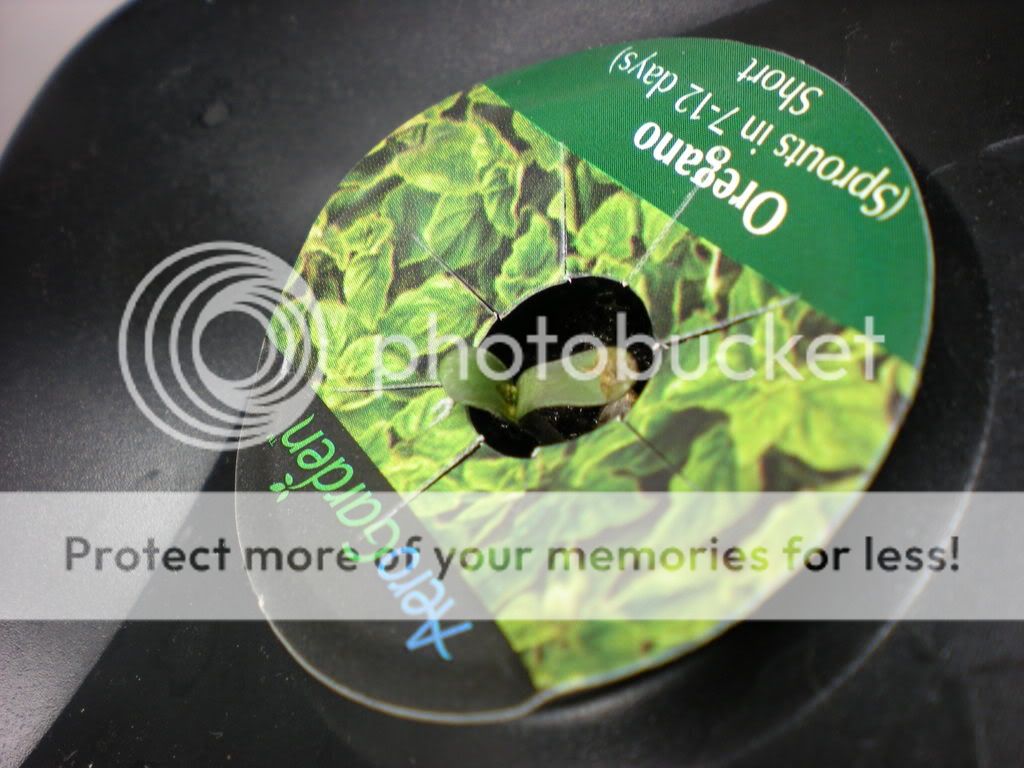 DSCN0155.jpg