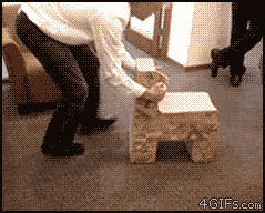 tumblr_mzht45FRNA1t0cscho1_250.gif