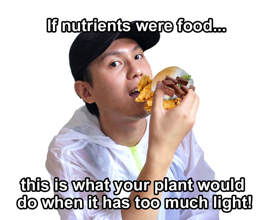 too-much-nutes-man.jpg