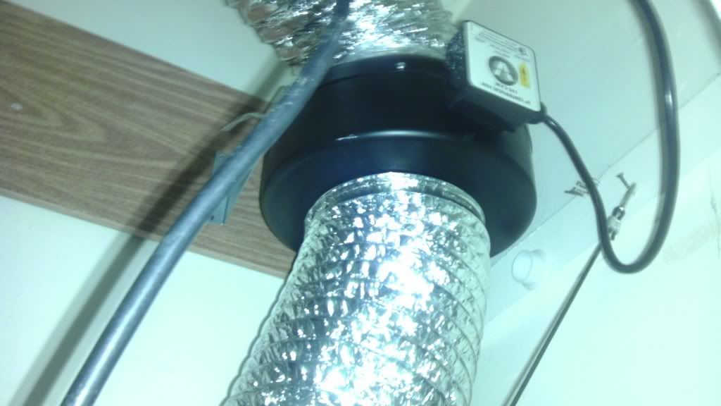 IMAG0469.jpg