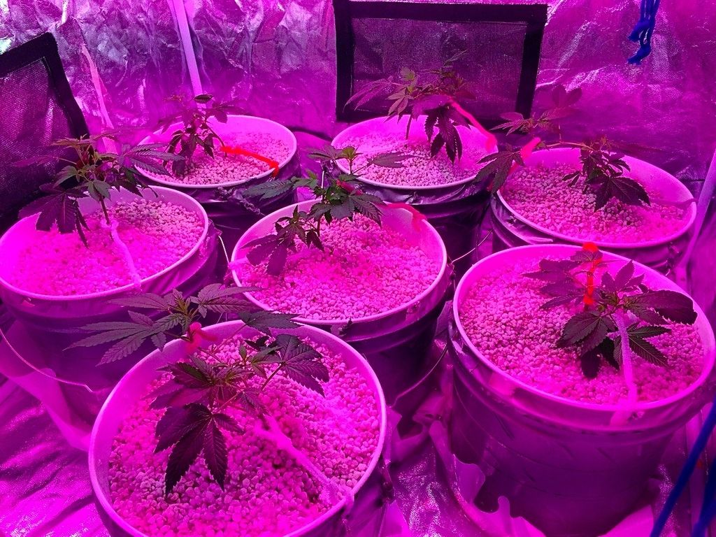 The20Sauce20Day2018_620110915_zpsspf56mhs.jpg