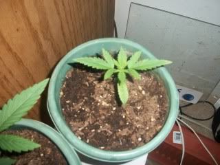 100_0797.jpg