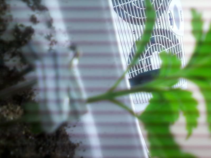 0408100440c.jpg