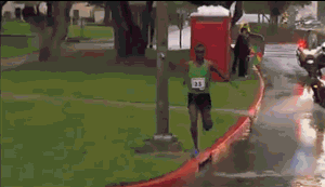gifs_10.gif