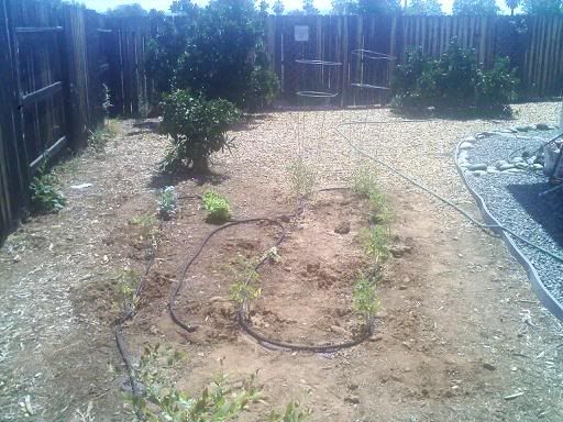 downsized_0715091109.jpg