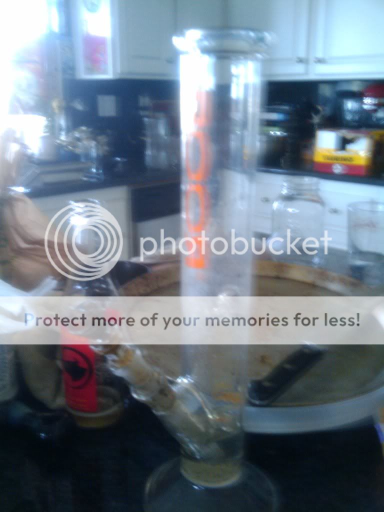 2010-04-16152657.jpg