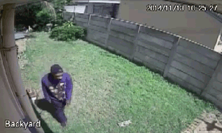 316269.gif