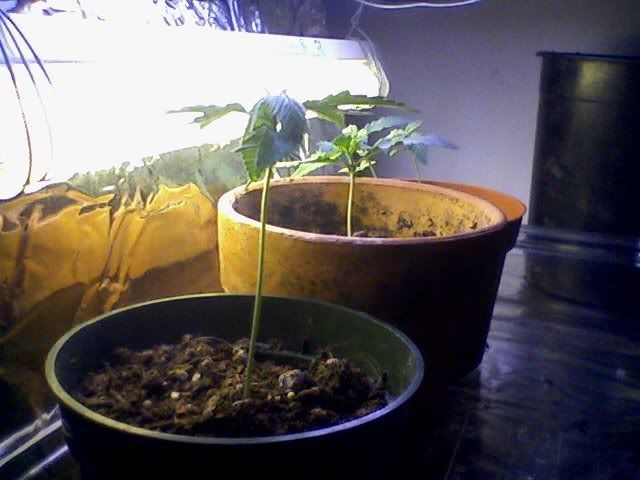 0921091258.jpg