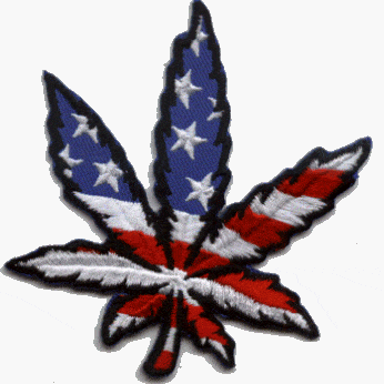 Flag-Pic.gif
