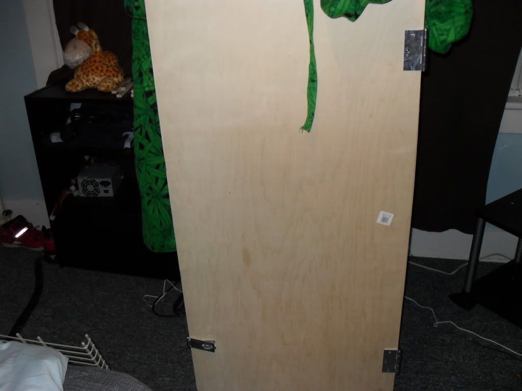 SDC10581.jpg