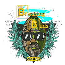 Breaking_Buds_Seeds_logo.png
