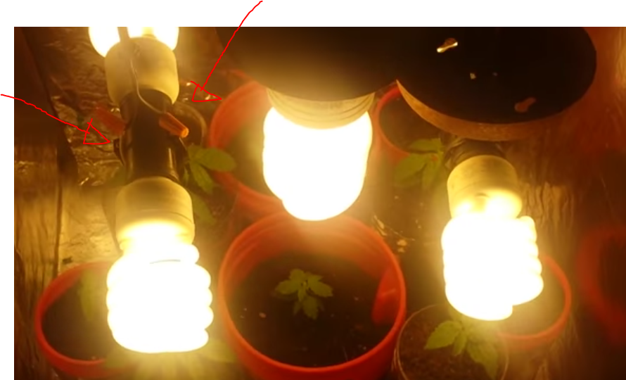 A8joaXs.png