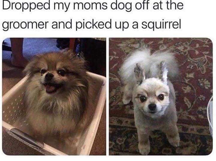 bQfhzXM.jpg