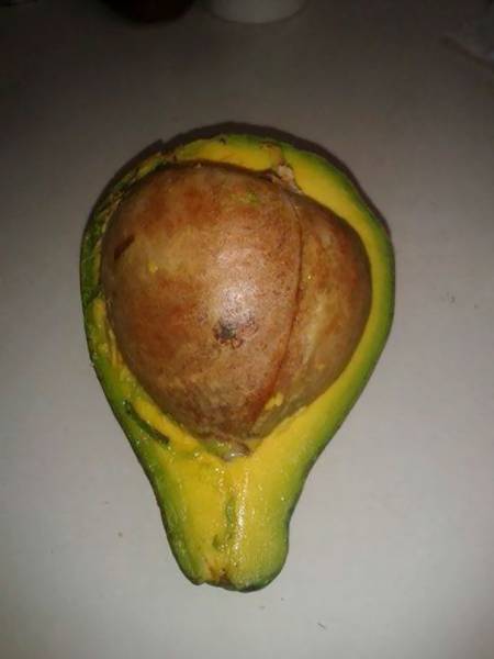 acid_picdump_59.jpg