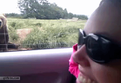 gifs_02.gif