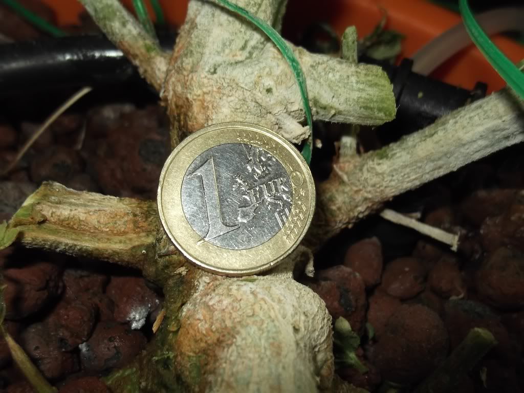 2012_0311DA.jpg