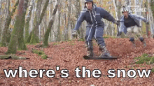 wheres-the-snow-no-snow.gif