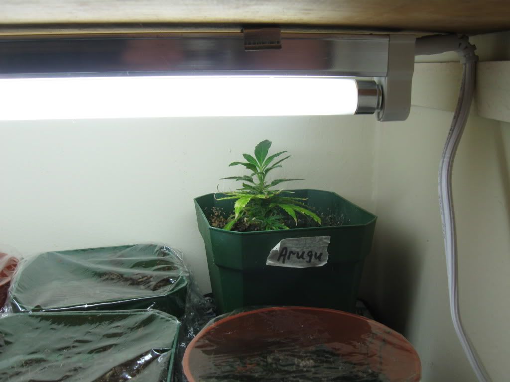 indoor09022.jpg