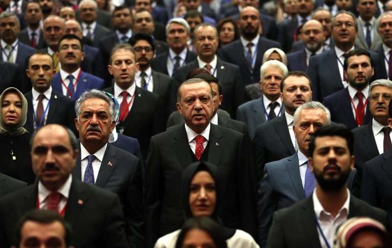 xxturkey1-master768.jpg