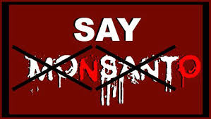no-monsanto.jpg
