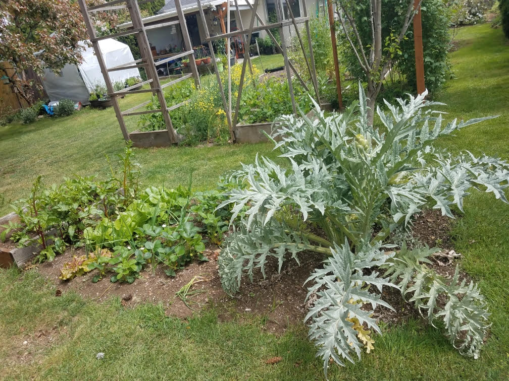 05082021gardena.jpg