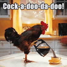 tenor.gif