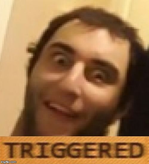 90866fc3fd429ae79bbc63d8d5d9f7fe--triggered-meme-generators.jpg