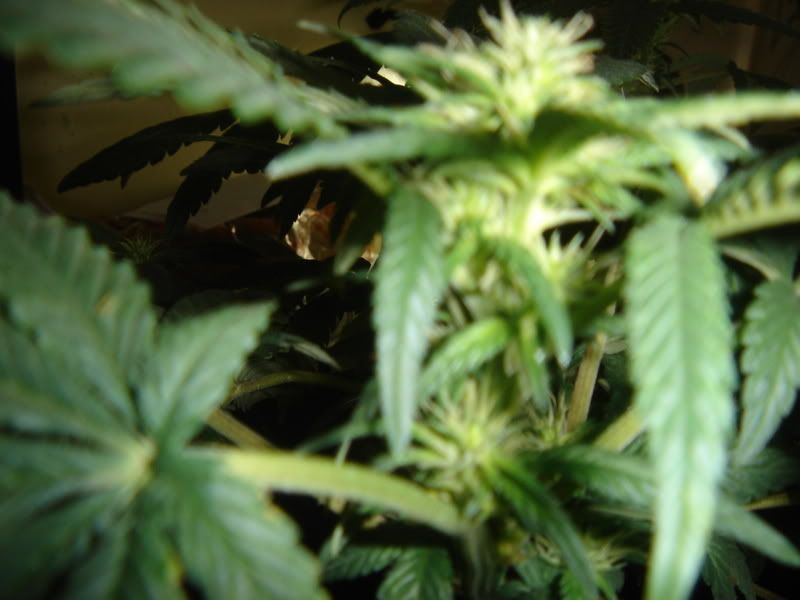 10-4-08007.jpg