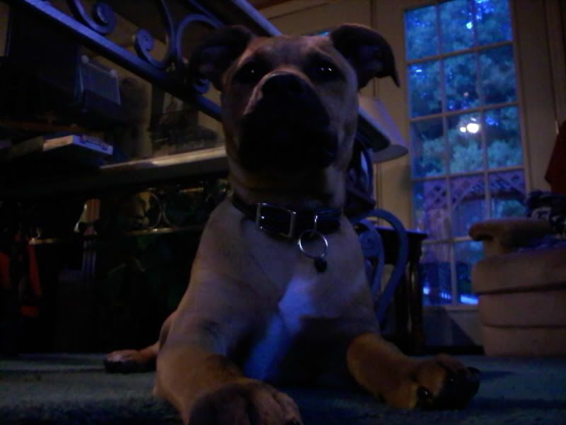 0428001936_0002.jpg