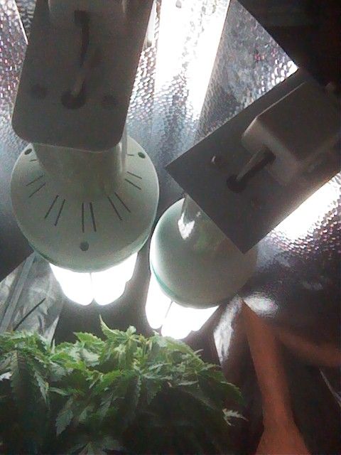 IMAG0635_zps21827d83.jpg