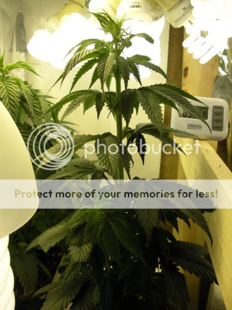 DSCN0623.jpg