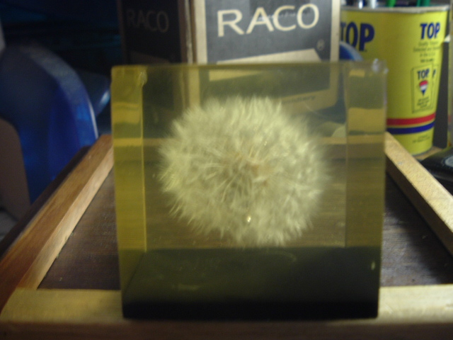 DSCF0552.JPG
