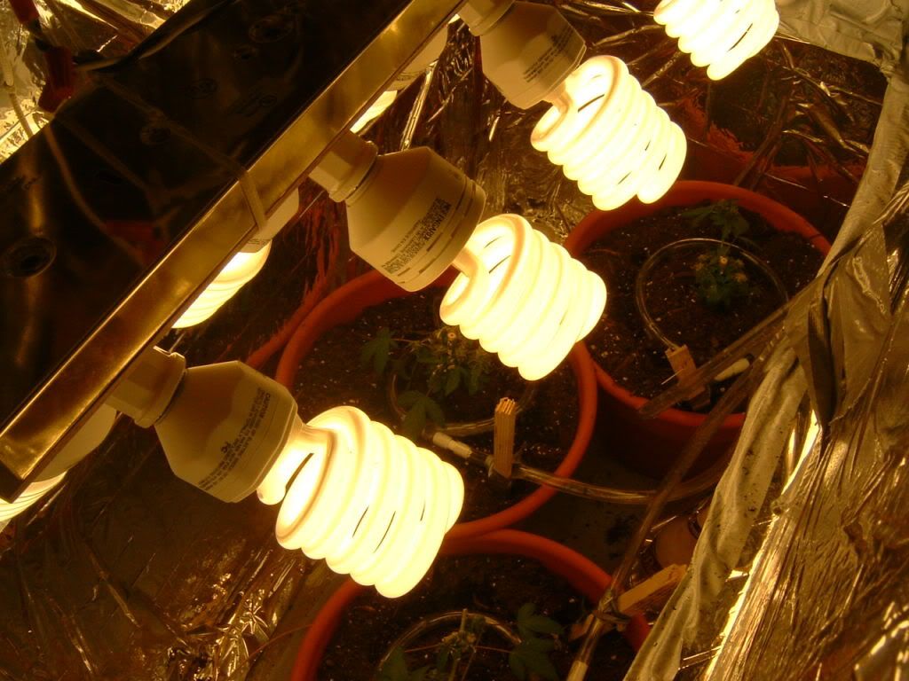 DSCF0034.jpg