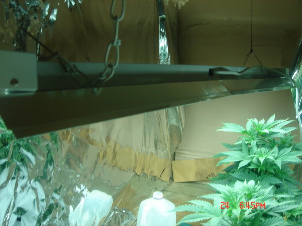 DSC01444.jpg