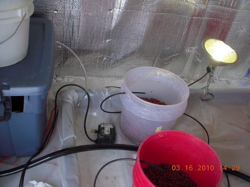 DSCN2097.jpg